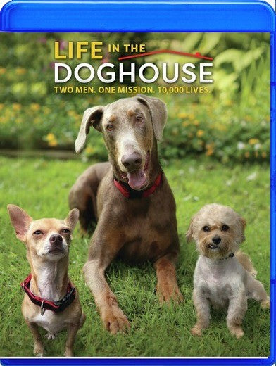 Life in the Doghouse (MOD) (BluRay Movie)