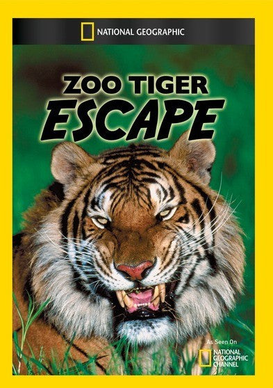 Zoo Tiger Escape (MOD) (DVD Movie)