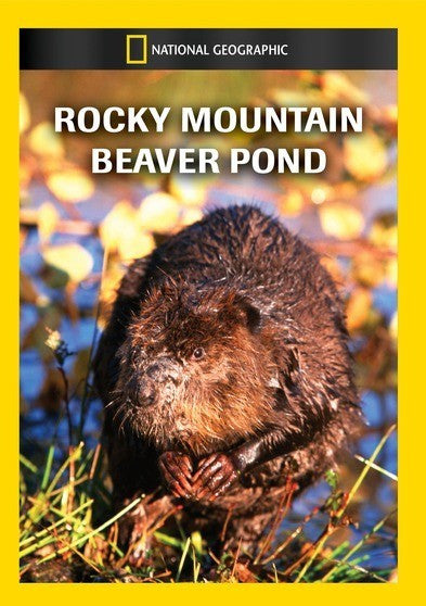 Rocky Mountain Beaver Pond (MOD) (DVD Movie)