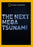 The Next Mega Tsunami (MOD) (DVD Movie)
