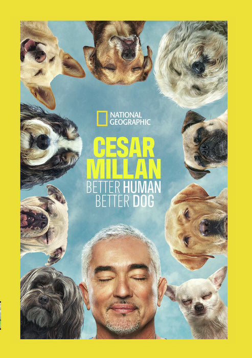 Cesar Milan: Better Human Better Dog (MOD) (DVD Movie)