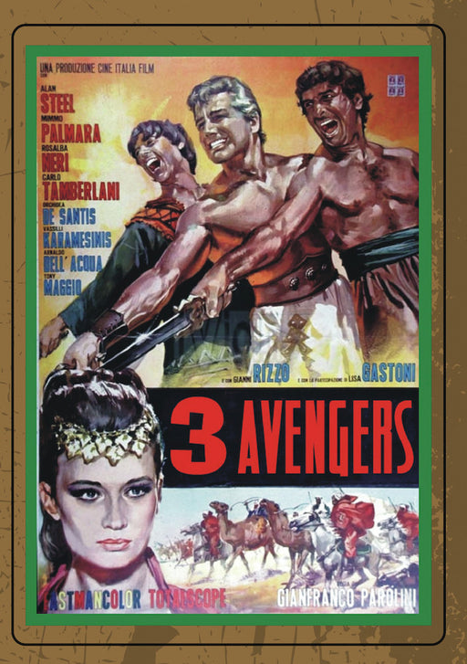3 Avengers (MOD) (DVD Movie) - movie cover art