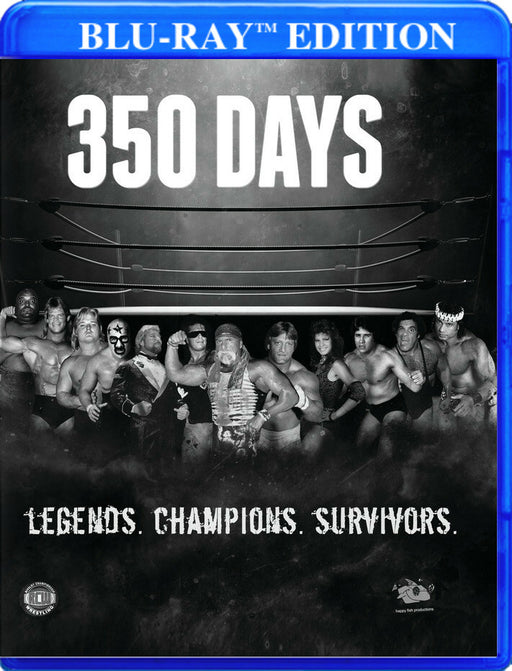 350 Days (MOD) (BluRay Movie) - movie cover art