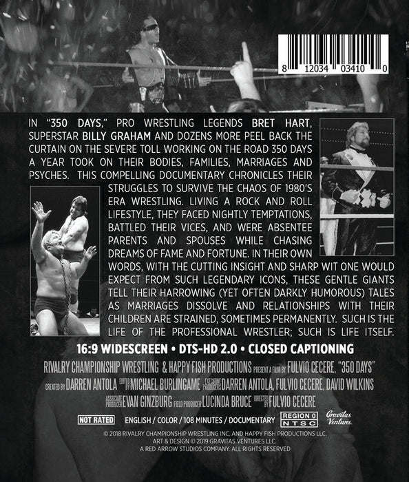 350 Days (MOD) (BluRay Movie) - back cover art