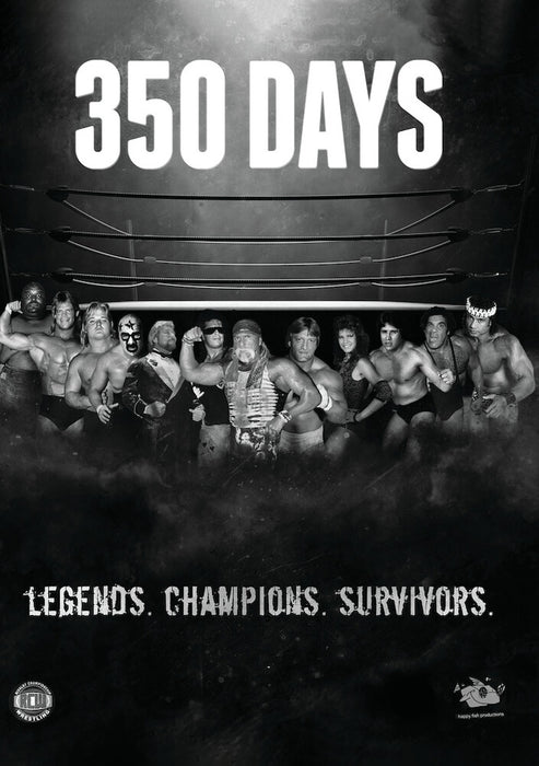 350 Days (MOD) (DVD Movie) - movie cover art