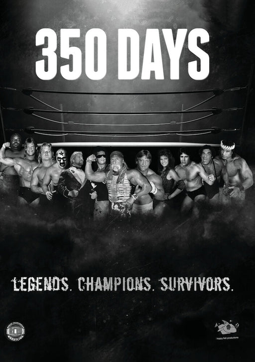 350 Days (MOD) (DVD Movie) - movie cover art