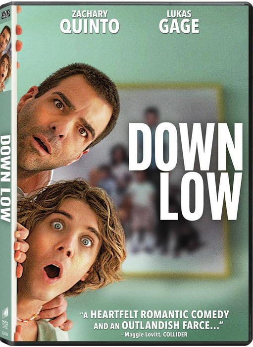 Down Low (MOD) (DVD MOVIE)