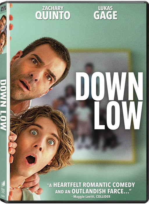 Down Low (MOD) (DVD MOVIE)
