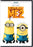 Despicable Me 2 (DVD MOVIE)