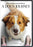 A Dog's Journey (DVD MOVIE)