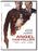 Angel Has Fallen (DVD MOVIE)