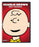 Charlie Brown and Friends (DVD MOVIE)