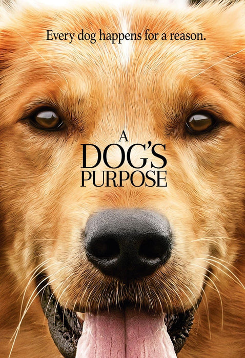 A Dog's Purpose (DVD MOVIE)