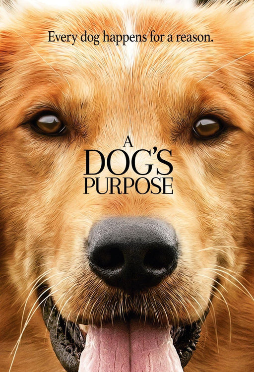 A Dog's Purpose (DVD MOVIE)