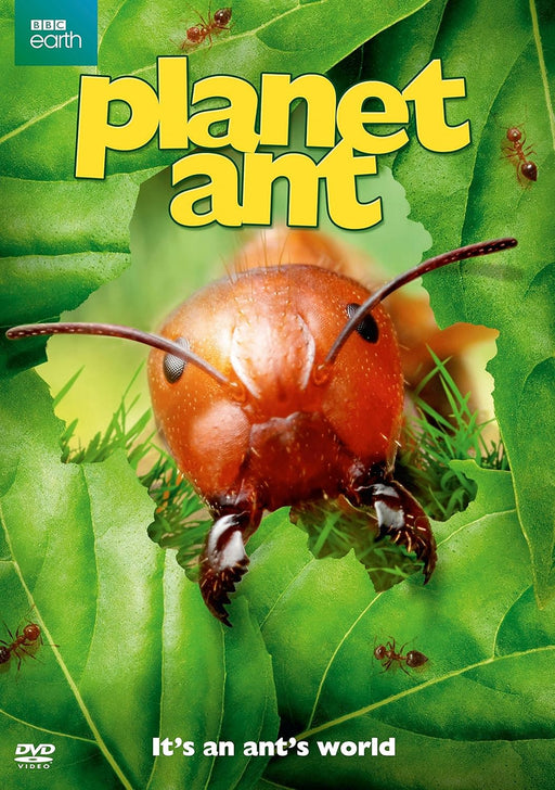 BBC Earth Planet Ant (DVD MOVIE)