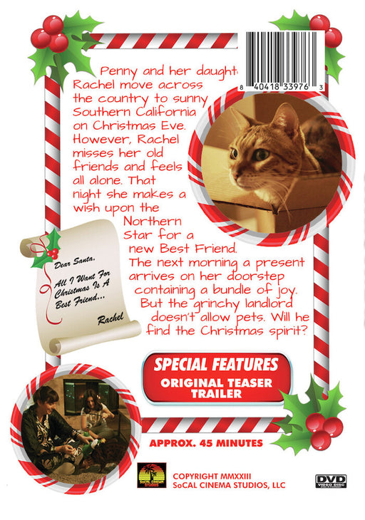 A Bengal For Christmas (MOD) (DVD Movie) - back cover art