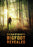 A Flash of Beauty: Bigfoot Revealed (MOD) (DVD Movie) - movie cover art