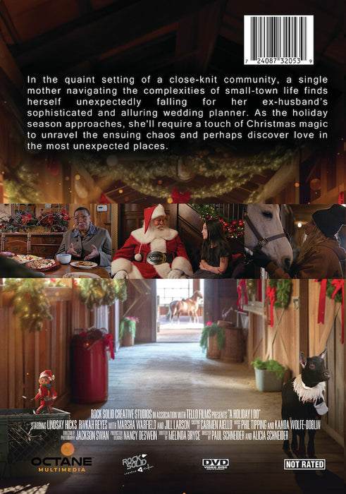 A Holiday I Do (MOD) (DVD Movie) - back cover art