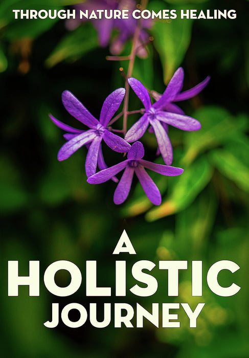 A Holistic Journey (MOD) (DVD Movie) - movie cover art