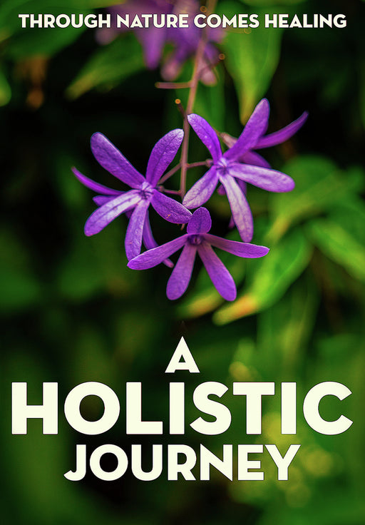 A Holistic Journey (MOD) (DVD Movie) - movie cover art
