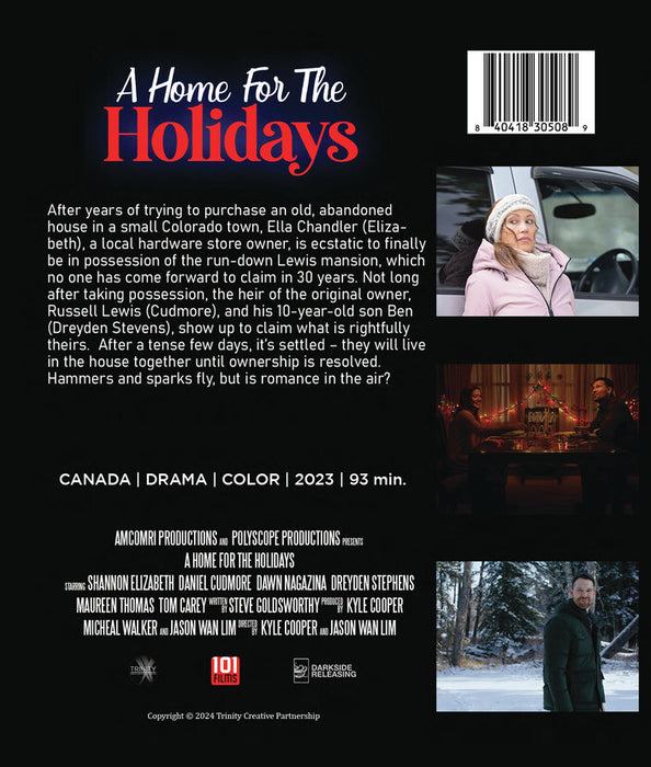 A Home for the Holidays (MOD) (BluRay Movie) - back cover art