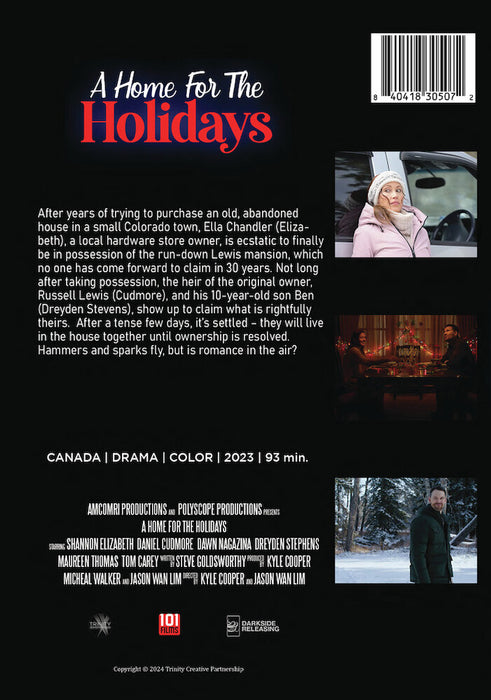 A Home for the Holidays (MOD) (DVD Movie) - back cover art