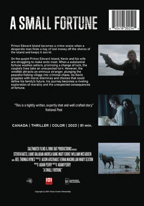 A Small Fortune (MOD) (DVD Movie) - back cover art