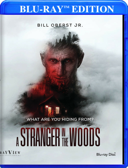 A Stranger in the Woods (MOD) (BluRay Movie) - movie cover art
