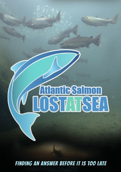 ATLANTIC SALMON - Lost at Sea (MOD) (DVD Movie) - movie cover art