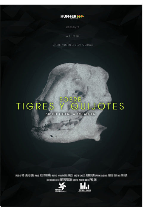 About Tigers and Quixotes (MOD) (DVD Movie) - movie cover art