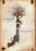 Acorn (MOD) (DVD Movie) - movie cover art