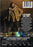 Adventures of Secret Mailman (MOD) (DVD Movie) - back cover art