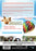 After the Wizard (MOD) (DVD Movie) - back cover art