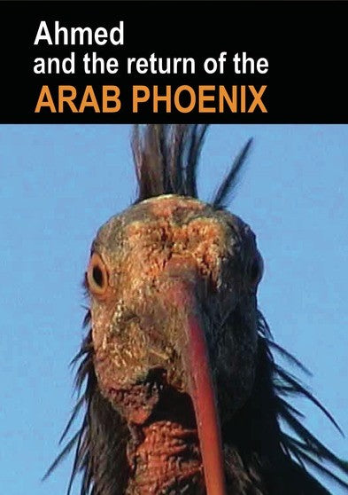 Ahmed and the Return of the Arab Phoenix (MOD) (DVD Movie) - movie cover art