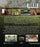Aimee and Albert: The Early Years (MOD) (BluRay Movie) - back cover art