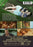 All About Who You Know (MOD) (DVD Movie) - back cover art
