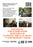 Aloha Also Means Goodbye (MOD) (DVD Movie) - back cover art