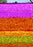 Aloha Surf Hotel (MOD) (DVD Movie) - back cover art