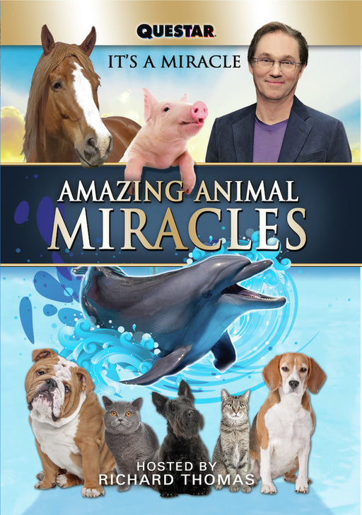 Amazing Animal Miracles (MOD) (DVD Movie) - movie cover art