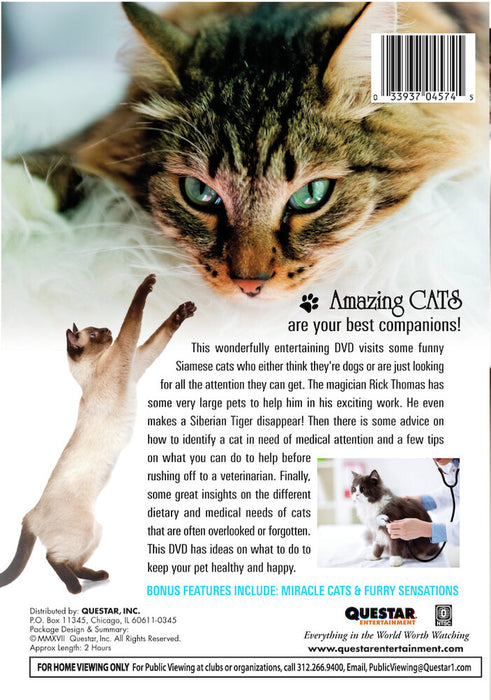 Amazing Cats (MOD) (DVD Movie) - back cover art