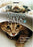 Amazing Cats (MOD) (DVD Movie) - movie cover art