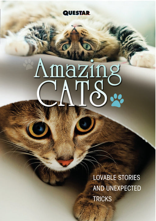 Amazing Cats (MOD) (DVD Movie) - movie cover art