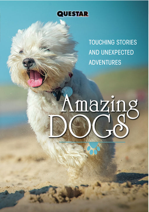 Amazing Dogs (MOD) (DVD Movie) - movie cover art