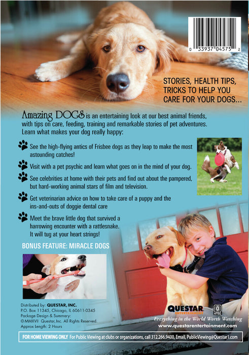 Amazing Dogs (MOD) (DVD Movie) - back cover art