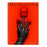 American Horror Story: Apocalypse (MOD) (DVD Movie) - movie cover art