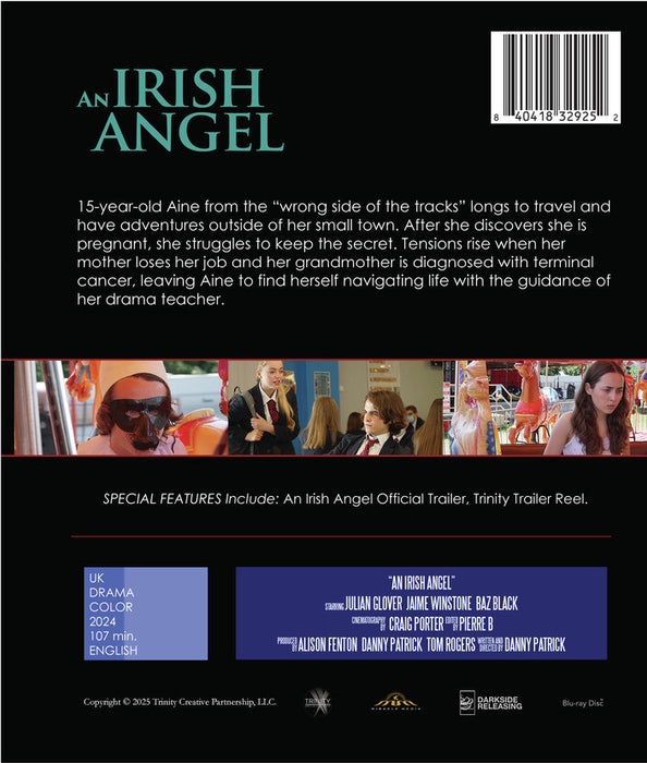 An Irish Angel (MOD) (BluRay Movie) - back cover art