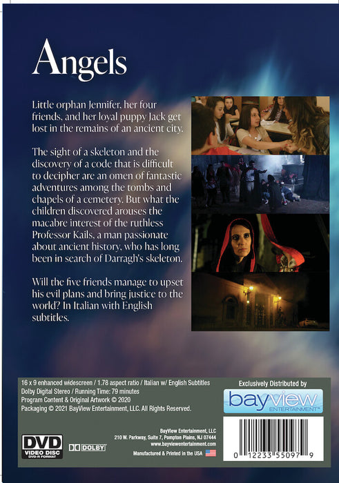 Angels (MOD) (DVD Movie) - back cover art