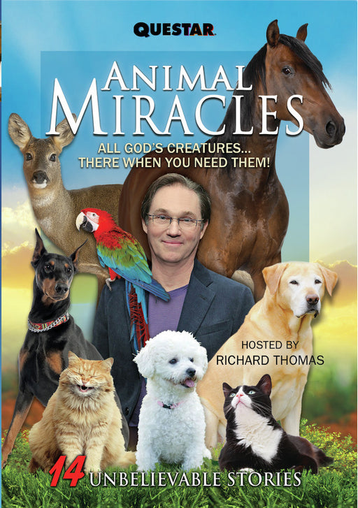 Animal Miracles (MOD) (DVD Movie) - movie cover art