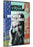 Arthur Erickson: Beauty Between the Lines (MOD) (DVD Movie) - movie cover art
