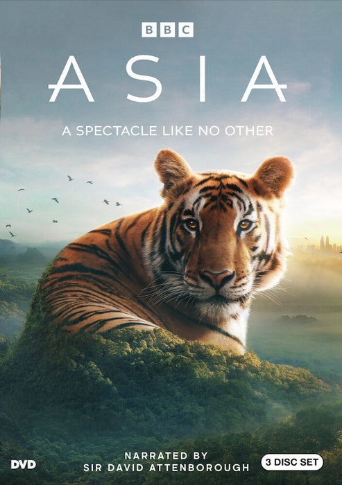 Asia (MOD) (DVD Movie) - movie cover art